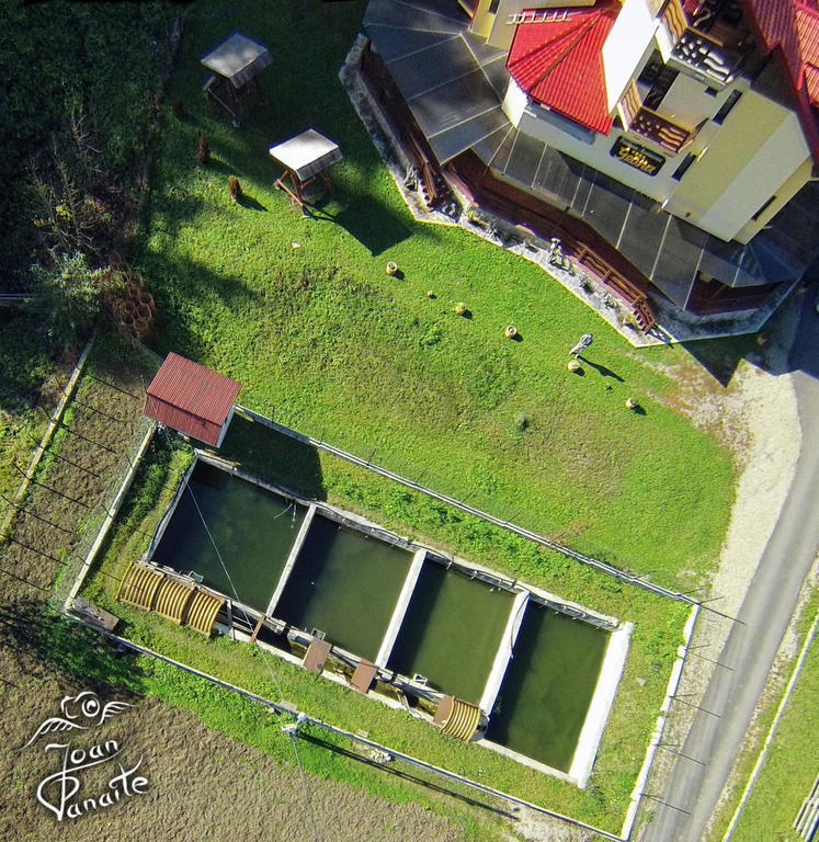 Pensiunea Geona Poiana Teiului Exteriér fotografie